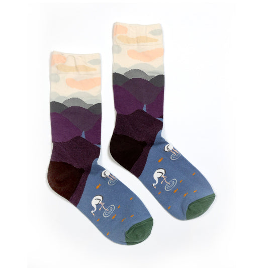 Healing Socks